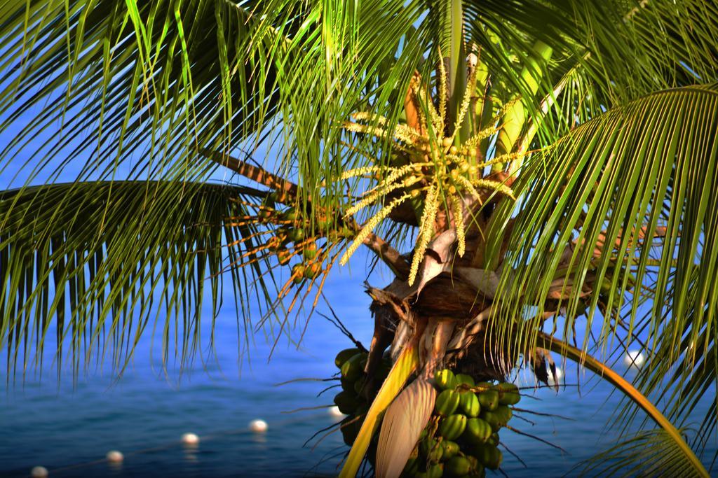 Instyle Residences At Infiniti Blu Sosúa Exterior foto